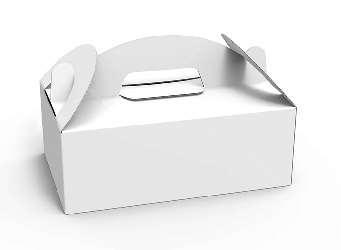 Takeaway Cardboard Box With Handle